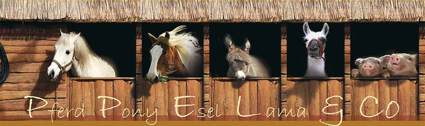 Pferd, Pony, Esel, Lama & Co