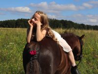 Reiten, Pferde, Pony, Esel im Wald