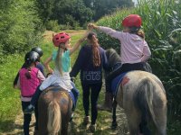 Reiten, Pferde, Pony, Esel im Wald