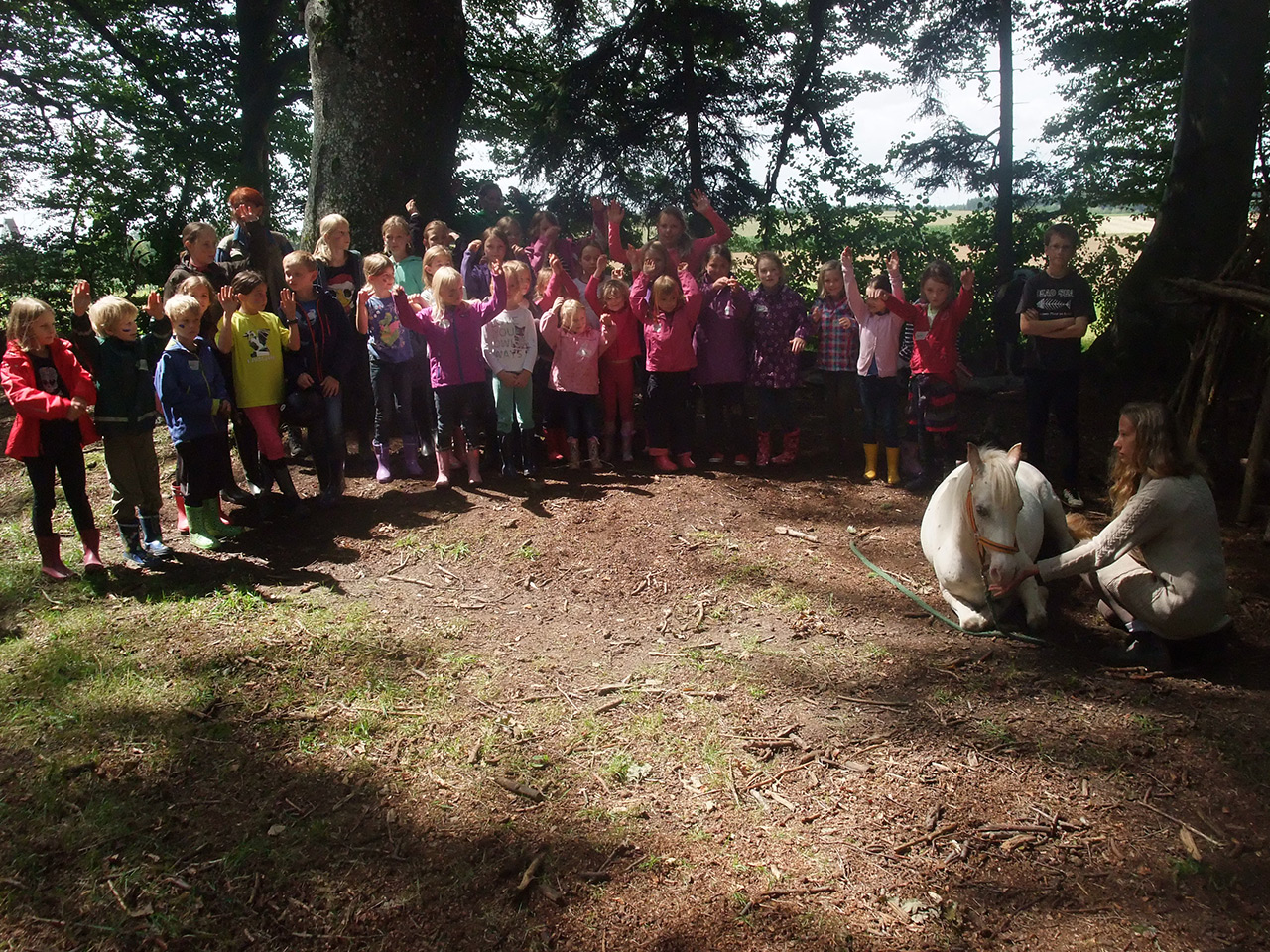 Einführung im Umgang mit Pferd, Pony und Esel