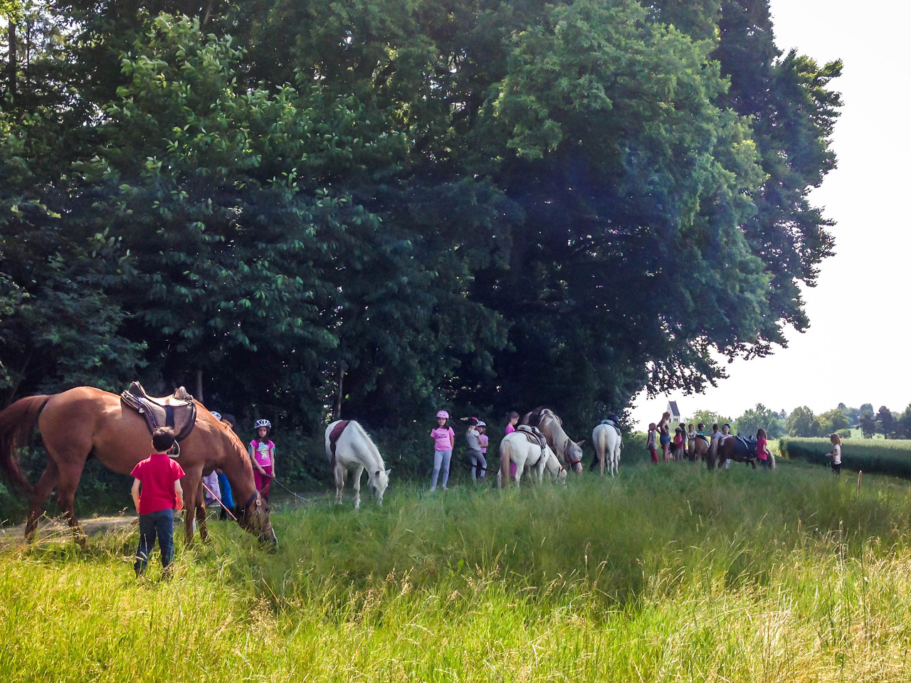 Kinderreiten in den Sonnenland-Wald bei Neufarn