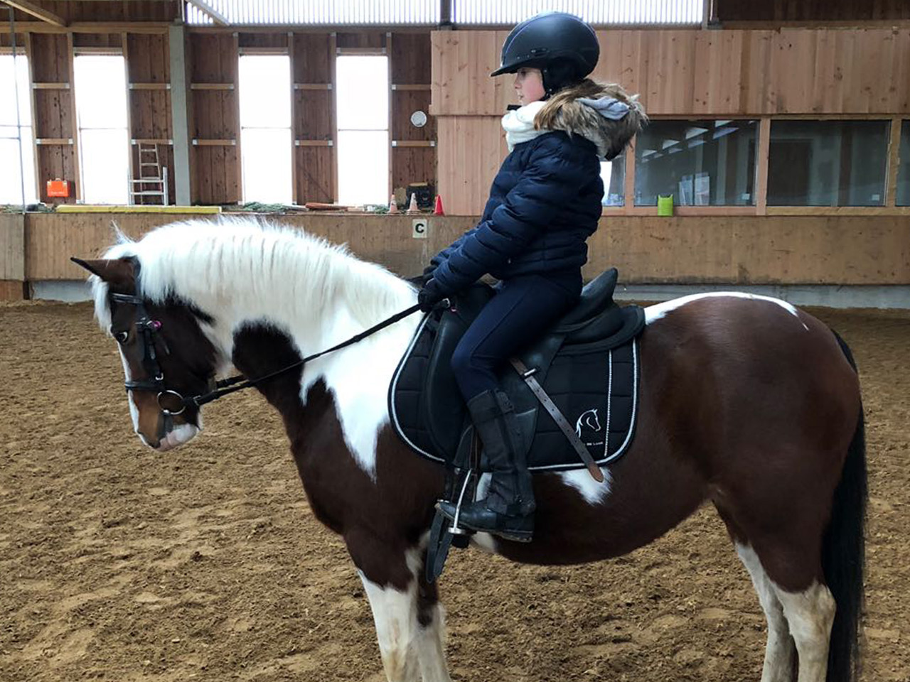 Pony Romea und Emiliy