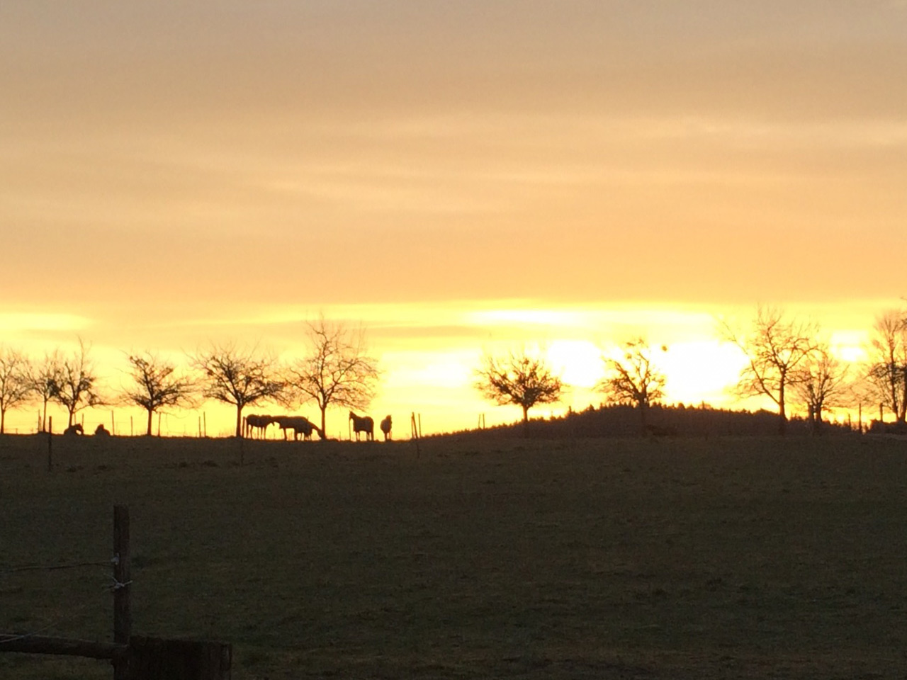 Sonnenuntergang im Sonnenland