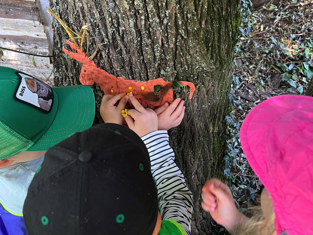 Reiten, Pferde, Pony, Esel im Wald