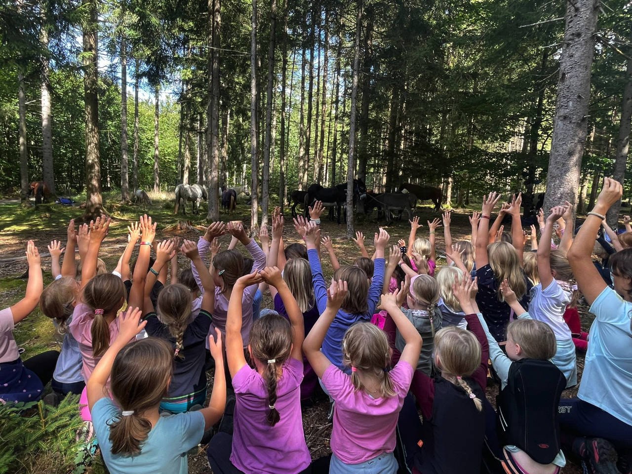 Reiten, Pferde, Pony, Esel im Wald