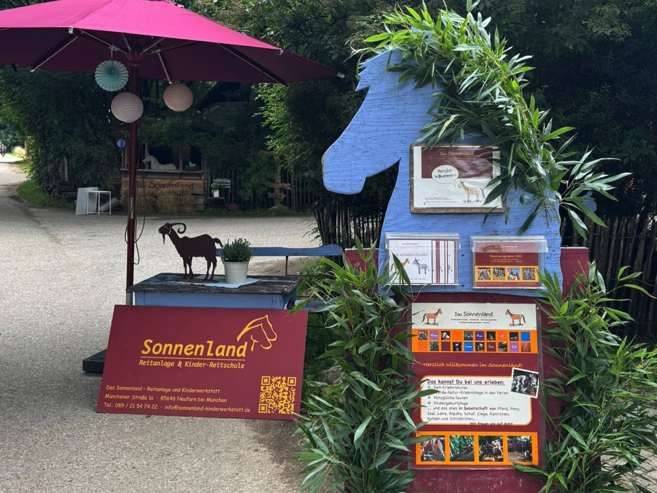 Reiten, Pferde, Pony, Esel im Wald