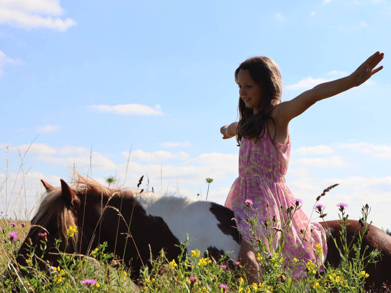 Reiten, Pferde, Pony, Esel im Wald