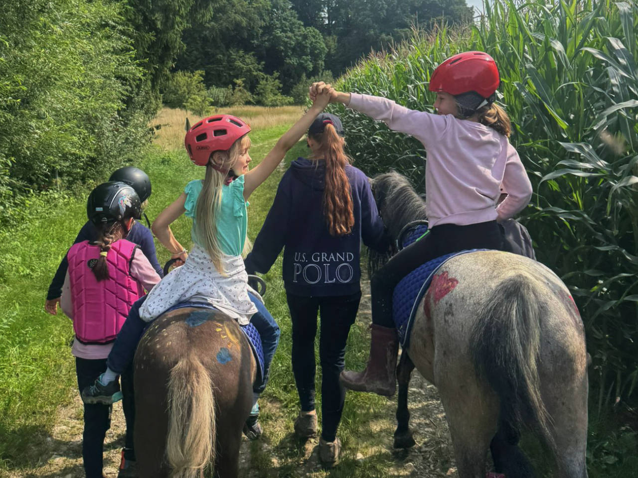 Reiten, Pferde, Pony, Esel im Wald