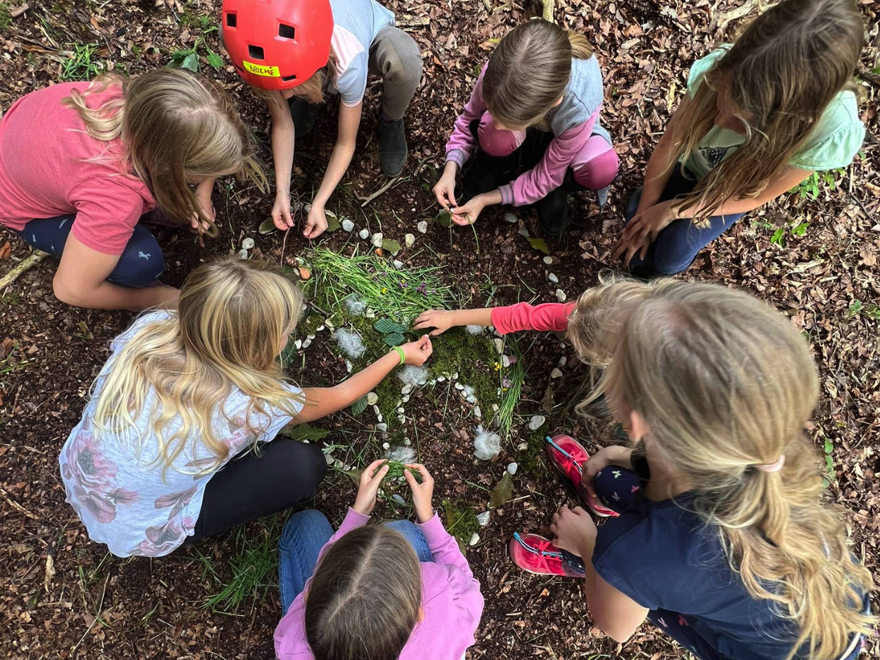 Reiten, Pferde, Pony, Esel im Wald