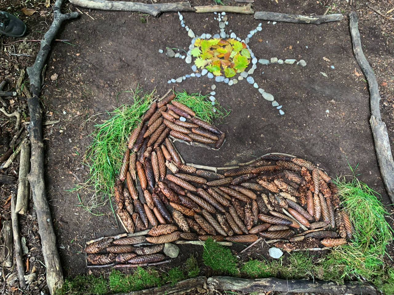 Reiten, Pferde, Pony, Esel im Wald