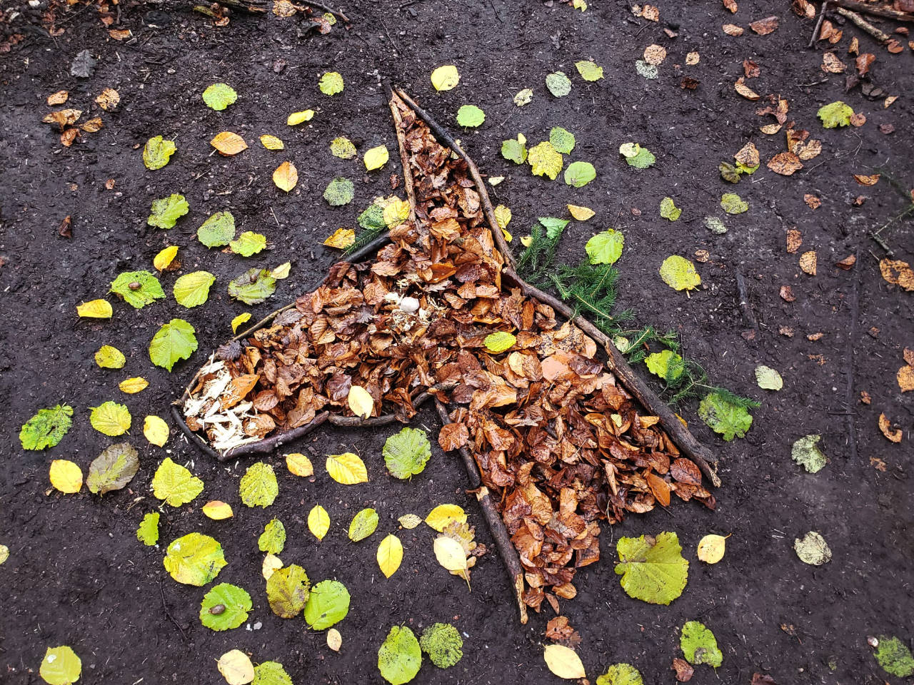 Reiten, Pferde, Pony, Esel im Wald